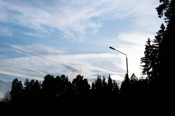 Σιλουέτες δέντρων και γαλάζιου ουρανού με ίχνος αεροπλάνου — Φωτογραφία Αρχείου