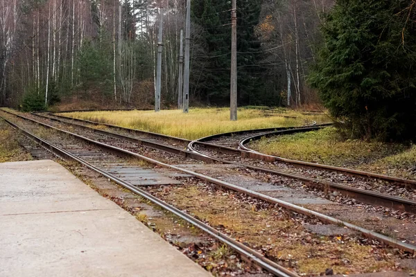 Tram rails in the yellow autumn forest — Stock Photo, Image