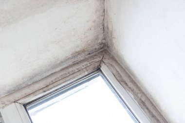 Plastik bir pencerede siyah küf