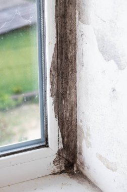 Plastik bir pencerede siyah küf