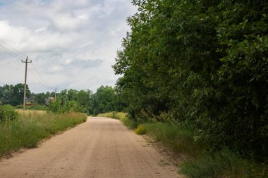 Bir tarla ve orman arasında kırsal kumlu yol