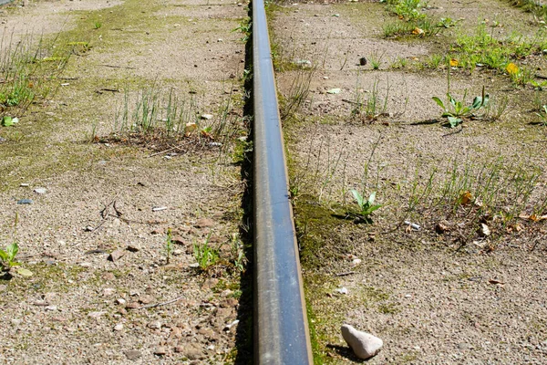 Carril Tranvía Entre Hierba Verde Cerca Vista Inferior — Foto de Stock