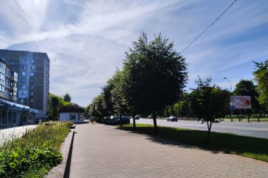 BELARUS, NOVOPOLOTSK - 18 AĞUSTOS 2020: Yazın ağaçlı asma