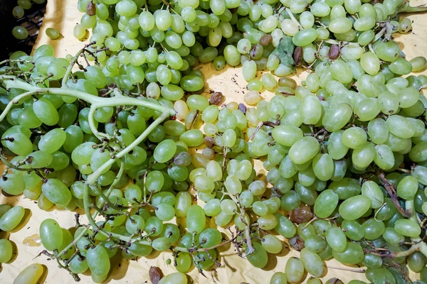 Des Grappes Raisins Verts Dans Récipient Proximité — Photo