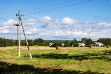 Bulutlu gökyüzünün altındaki orman tarafından toplanan tarla