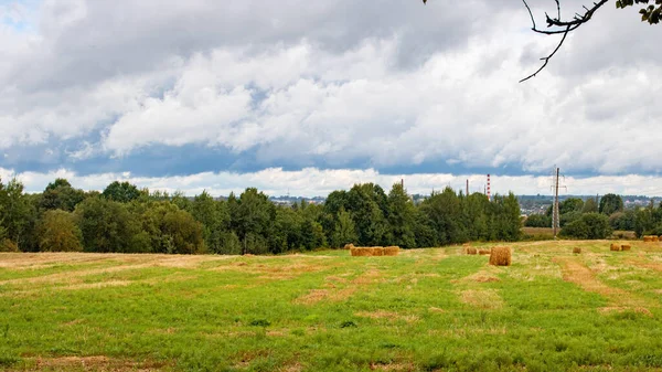 Harvested field by the forest under cloudy sky