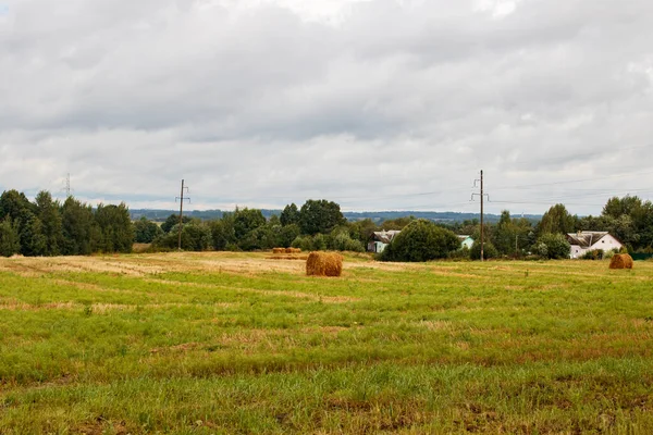 Harvested field by the forest under cloudy sky