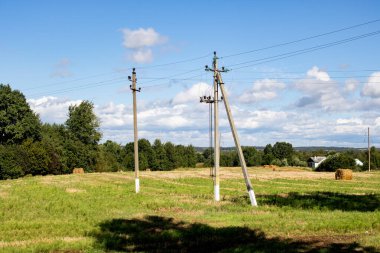 Bulutlu gökyüzünün altındaki orman tarafından toplanan tarla