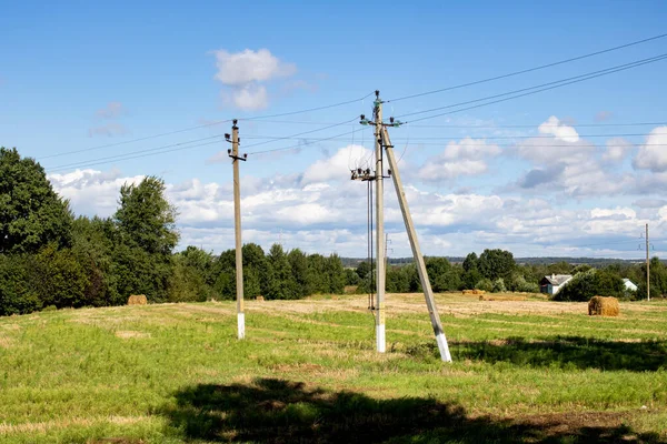 Bulutlu gökyüzünün altındaki orman tarafından toplanan tarla