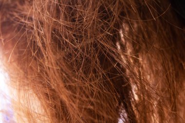 Kızıl saç yakın, metin veya doku için arkaplan