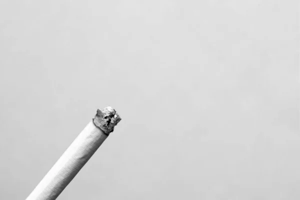 Une cigarette allumée sur fond gris gros plan — Photo