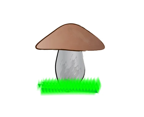 Brown Mushroom Green Grass Close Vector Illustration — Stock Vector