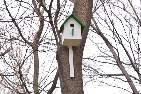 Maison Des Oiseaux Est Faite Bois Fait Main Sorte Que — Photo