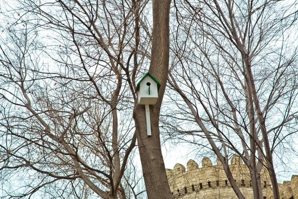 Bird\'s nest or bird house. Wooden model house in garden.bird house with bokeh light background