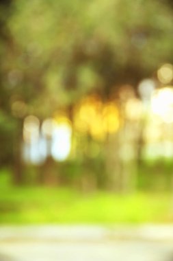 Sonbahar doku ve arka plan ormanda