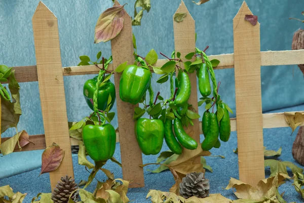 Sztuczne Papryki Ogórków Drewniany Płot Sztuczne Owoce Warzywa Niebieskim Tle — Zdjęcie stockowe