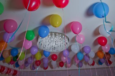 Helyum balonları. Parti için odadaki beyaz tavanda renkli balonlar yüzüyor. Düğün ya da çocukların doğum günü partisi dekorasyonu. .