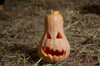 Cadılar Bayramı Balkabağı en kötü şekilde sırıtıyor. Spooky Halloween Jack o fener. Kabak Güz bir arka plan üzerinde kuru saman üzerinde. Cadılar Bayramı için hazırlık olarak