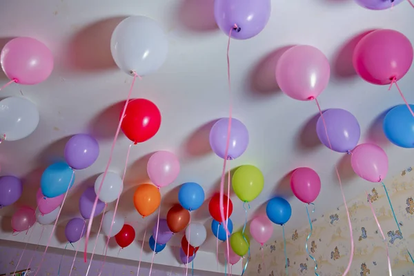 Helium balloons . Colorfull balloons float on the white ceiling in the room for the party. Wedding or children birthday party decoration interior .