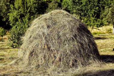 büyük bir samanlıkta mavi güneşli gökyüzü - görüntü karşı yeşil çim sahada. Yakın çekim yaz sezonu yeşil forest yakınındaki tek bir büyük Haystack.