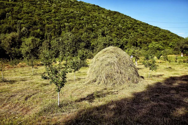 Bir Peyzaj Mount Bobija Hills Haystacks Çayırlar Renkli Ağaçlar Üzerinde — Stok fotoğraf