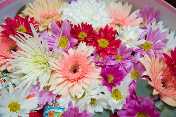 Gerbera et d'autres fleurs colorées disposées comme une image de fond naturel avec des fleurs blanches, jaunes, rouges et roses - photographie de pose à plat - Image — Photo