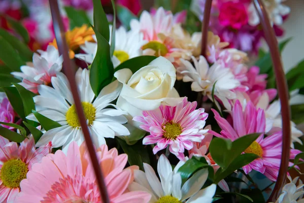Gerbera et d'autres fleurs colorées disposées comme une image de fond naturel avec des fleurs blanches, jaunes, rouges et roses - photographie de pose à plat - Image — Photo