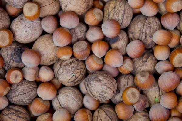 Noten en walnoten. Close-up van walnoten en hazelnoten als achtergrond. Mix van hazelnoten en walnoten met harde shell. gedroogde hazelnoten en walnoten, close-up — Stockfoto