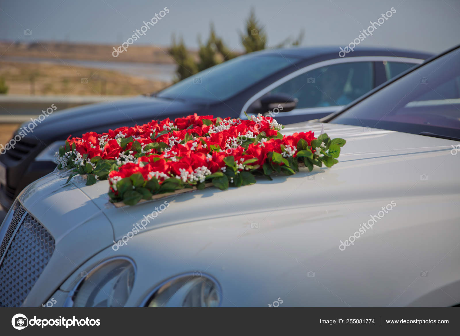 Closeup Image Of Wedding Car Decoration With Red And White