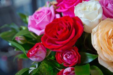 Gelin için güzel düğün renkli buket. Renkli çiçeklerin güzelliği. Arka plan. Beyaz, kırmızı, pembe ve sarı çiçeklerile Gerbera çiçek Güzel demet .