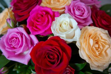 Gelin için güzel düğün renkli buket. Renkli çiçeklerin güzelliği. Arka plan. Beyaz, kırmızı, pembe ve sarı çiçeklerile Gerbera çiçek Güzel demet .