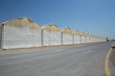 Azerbaycan'da ticari cam seralar . Sebze ve çiçek yüksek teknoloji endüstriyel üretim. Azerbaycan'da Westland'da seralar ve asfalt yol.