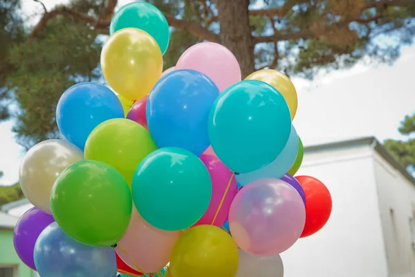 Bunch of colorful balloons in the green background . many colorful balloons for the outdoor party . Colorfull balloons flying in the sky.