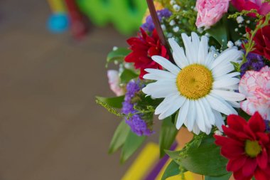 Amazing Purpule Boyama ortak papatya Bellis perennis Yapay renkli kesilmiş çiçekler . Güzel bir buket kırmızı, mor, beyaz, çiçek. Beyaz çiçekler Matricaria.