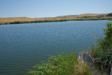 Dağ sırasının önündeki bir dağ gölünün manzarası. Muhteşem göl manzarası. Mavi ve yeşilin işbirliği. Birden fazla renk ve inanılmaz göl manzarası. Abant Gölü Golu Manzarası .