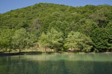 Doğada su güzelliği yansıma göl tarafından yeşil orman. Dağ gölü yüzeyinde temiz yeşil ağaçlar yansıma