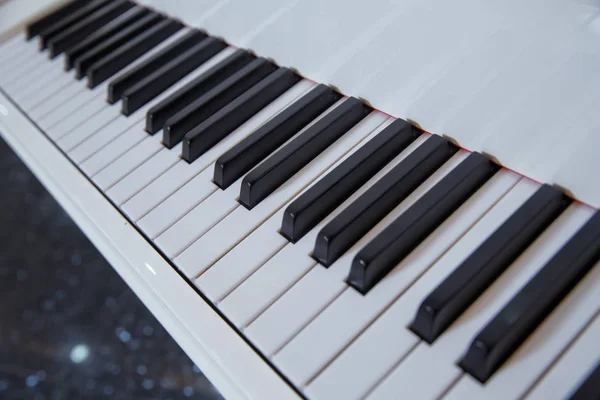 Teclado de piano de cola con teclas brillantes en blanco y negro como fondo musical en formato panorámico amplio, enfoque seleccionado, profundidad de campo estrecha — Foto de Stock
