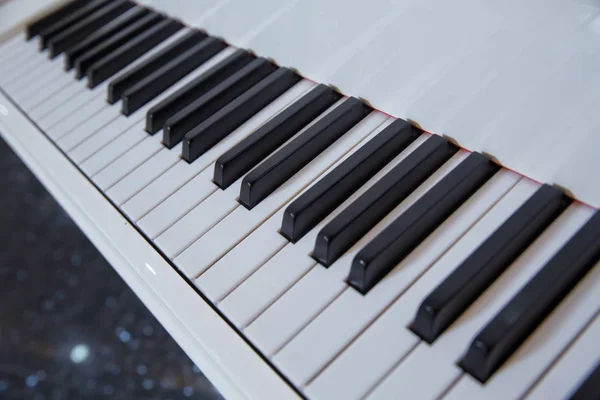 Toetsenbord van de vleugel met glanzende zwarte en witte toetsen als achtergrond muziek in breed panoramisch banner formaat, geselecteerde focus, smalle scherptediepte — Stockfoto