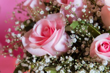 Pembe gül pembe arka plan. Sevgiliye arka plan. Şeker çubuğu