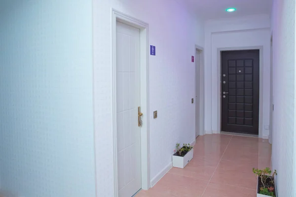 pink light .Door way space interior lighting design . White walls and door in corridor with wooden floor . Square photo of long home corridor with doors and wardrobe .
