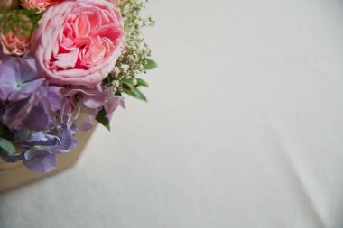 Beyaz bir arka plan üzerinde mor, pembe şakayık ile arka plan . Metin için pembe çiçek buketi .