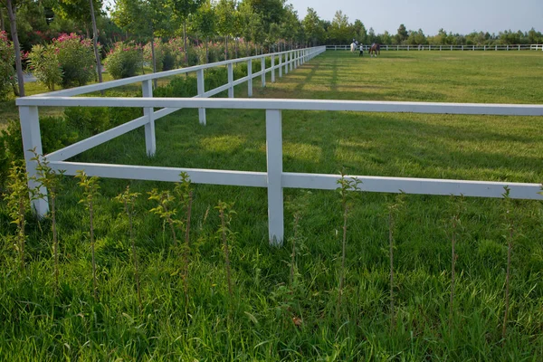Πράσινα λιβάδια από φάρμες αλόγων. Άδειο ιπποδρομίες πίστα χωρίς άλογα και αναβάτες. Λευκός τσιμεντένιος φράχτης σε αγρόκτημα άλογο . — Φωτογραφία Αρχείου