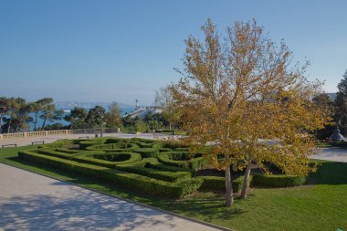 Sonbaharda Kalp Parkı Sarı Ağacı. Baku Highland Parkı. Highland Park 'a giden merdivenler