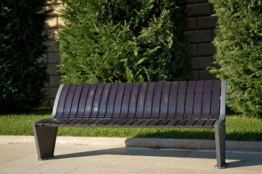 Uzun koltuk sırt ve kol dayama. Arka planı yeşil bir ağaç var. Yere düşen sarı yapraklar yalanımı sonbahar çerçevede bir parkta bir ahşap Bank.