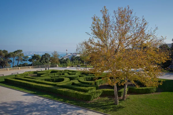 Parque del corazón Árbol amarillo en otoño. Bakú Highland Park. Escaleras a Highland Park — Foto de Stock