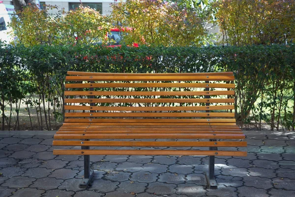 Wooden bench in the city park . Bench in the park among the trees . A wooden bench in the park, against a background of yellow fallen leaves lie on the ground in autumn.