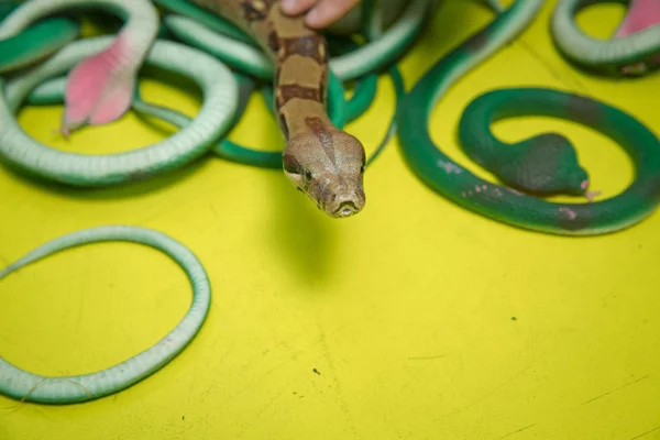 Groene veren slangen. Een slang met een grijze speeksel. kunstmatige en echte slangen op een gele achtergrond . — Stockfoto