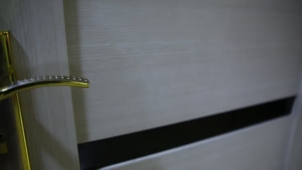 公寓内部的特写镜头 有门把手和门闩的白色内门的细部 白门金柄 — 图库视频影像