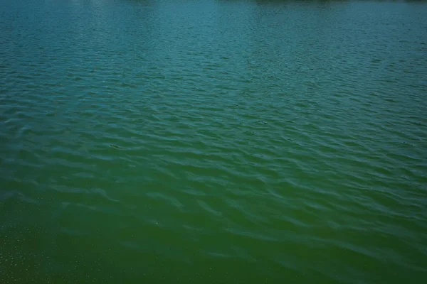 Superficie y textura del agua en un pequeño lago. Fondo de la superficie del agua. Patrón de textura del agua en el lago con iluminación en eveing. profundidad de campo poco profunda. Lago artificial en el parque . —  Fotos de Stock