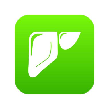 Karaciğer simge yeşil vektör